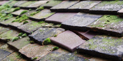 Hove roof repair costs
